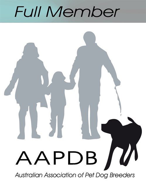Full -Member -logo -AAPDB